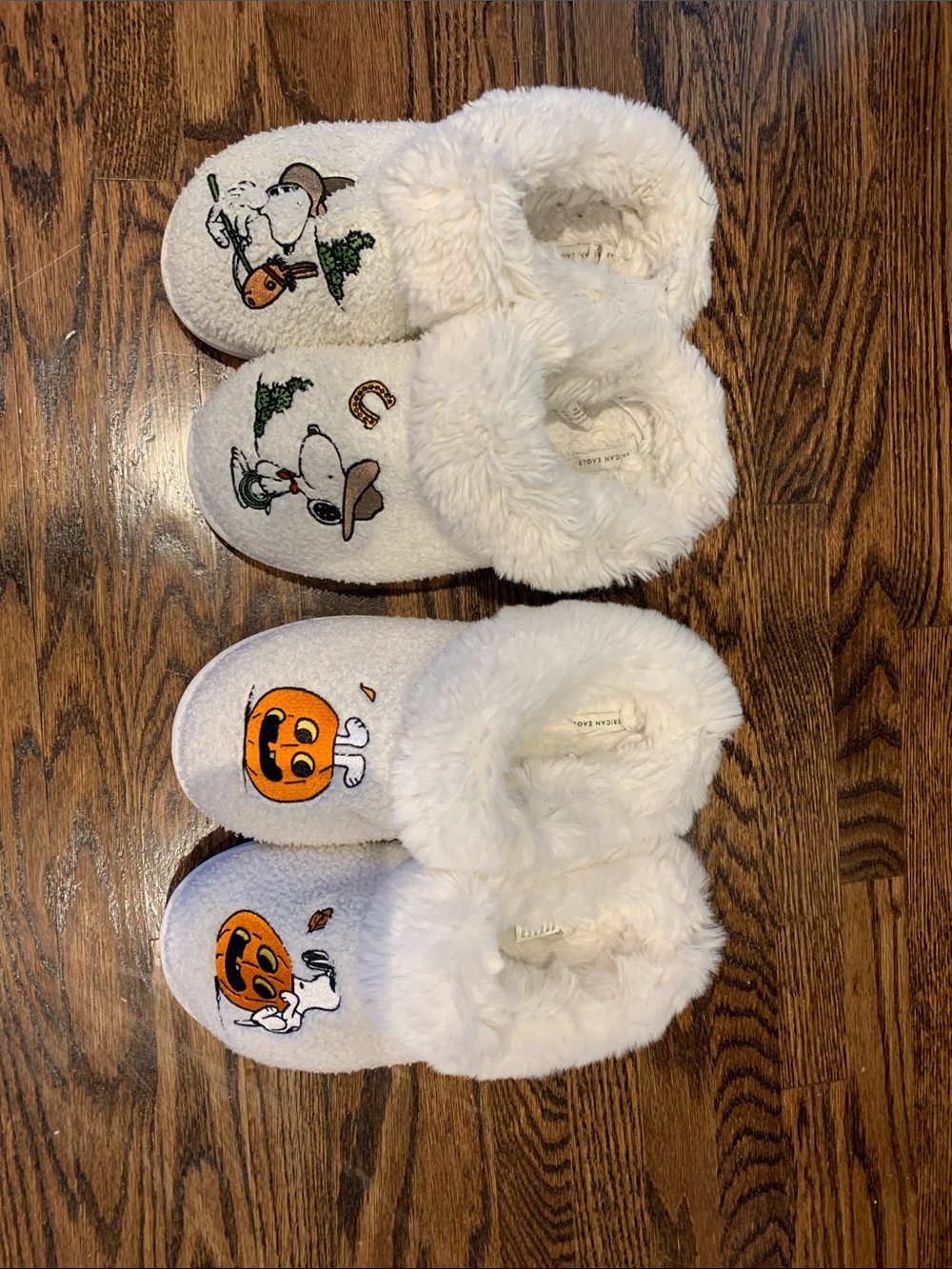 American Eagle Halloween slippers barely used